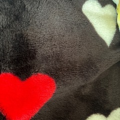 毛布、ブランケットの画像