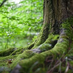 グループ講義（人生の美しさ・苦しみからの脱却）