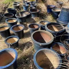 植木鉢　26センチ　陶器　昭和レトロ　アンティーク　信楽焼　深鉢　長鉢　腰高鉢　懸崖鉢の画像
