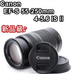 【極美品】Canon EF-S 55-250mm F4-5.6 IS Ⅱ 望遠レンズ