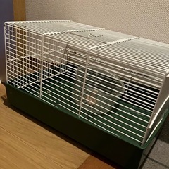 お取引き先決まりました‼️ハムスターゲージ