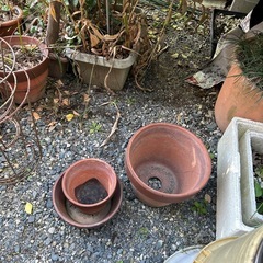 植木鉢1個¥30の画像