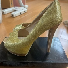 39インチパンプスの画像