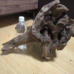 【大型】アクアリウム用流木【値下交渉可】の画像
