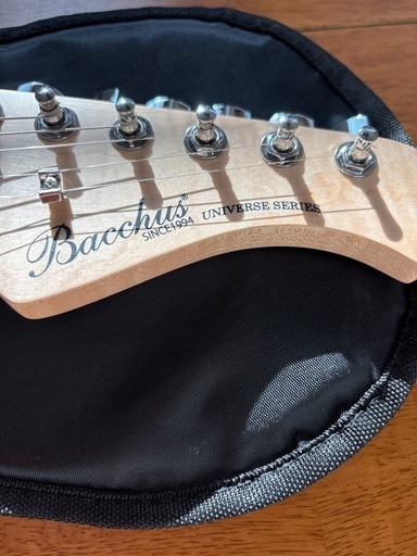 Bacchus UNIVERSE SERIES ギター
