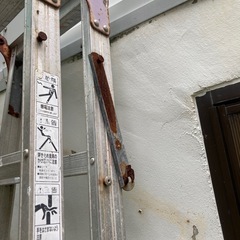 【決定】脚立の画像