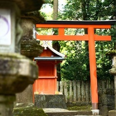 USJを散歩しませんか？ - 大阪市
