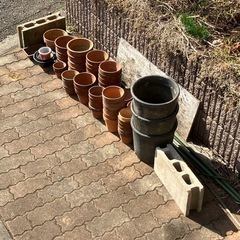 素焼きの植木鉢お譲りします　3/30までの画像