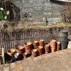 素焼きの植木鉢お譲りします　3/30までの画像