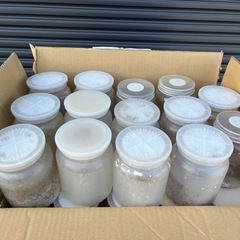 貴重】引取限定 御影石 敷石 名古屋市市電の軌道用敷石 51枚