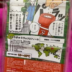 なるのかどうなのか分からないスイカきゅうりキットの画像