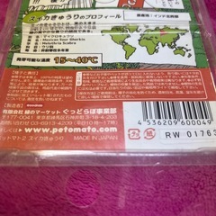 なるのかどうなのか分からないスイカきゅうりキットの画像