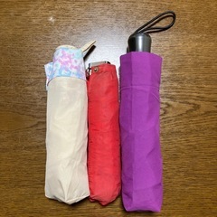 折り畳み傘（女性用）の画像