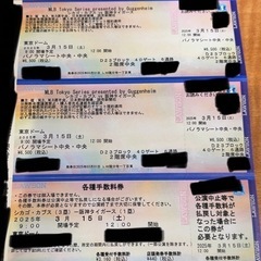 カブス 対 阪神タイガース チケット２枚 カブス 対 阪神タイガース チケット2枚