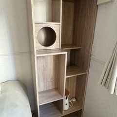 ロウヤ　キャットタワー　本棚の画像