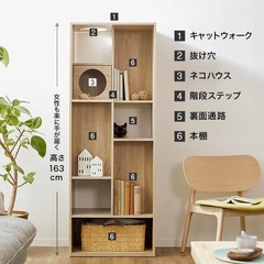 ロウヤ　キャットタワー　本棚の画像