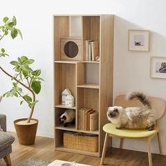 ロウヤ　キャットタワー　本棚の画像