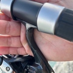 キャタリナ5000の画像