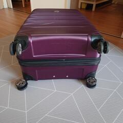 DELSEY パープル キャリーケース ハードの画像
