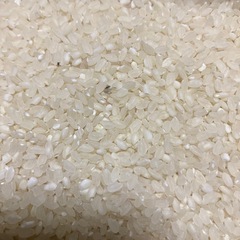 新米  砕米  小米  農薬不使用  ヒノヒカリ  1kg