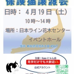 保護猫譲渡会in花木センター 20250419