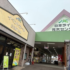 保護猫譲渡会in花木センター 20250419 - 可児市