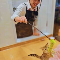 「ニャンラブ」ららテラス北綾瀬 （新店）  接客販売スタッフ募集中の画像