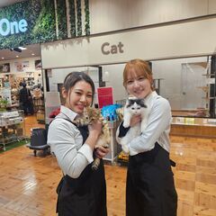 「ニャンラブ」ららテラス北綾瀬 （新店）  接客販売スタッフ募集中の画像