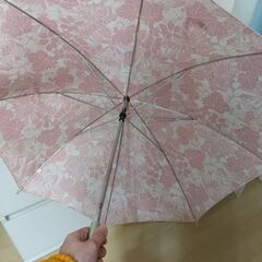 日傘の画像