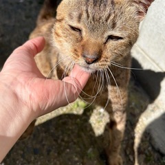 めちゃくちゃ人懐っこい男の子(=^ェ^=)
