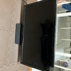 テレビ