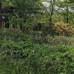 【残り５区画】無料で佐久高原「荒船別荘地」を差し上げます！（取得時に登記費用約８万円と紹介料１１万円が別途かかります。） - 佐久市