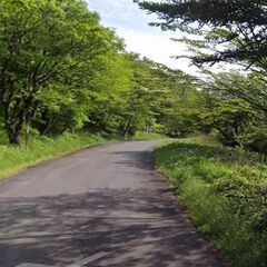 【残り５区画】無料で佐久高原「荒船別荘地」を差し上げます！（取得時に登記費用約８万円と紹介料１１万円が別途かかります。） - 土地販売/土地売買