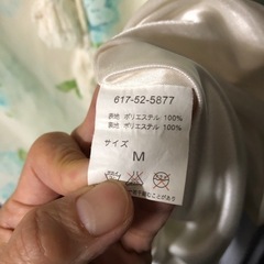 半袖チュニックかワンピースの画像
