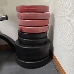 ウエイトトレーニング