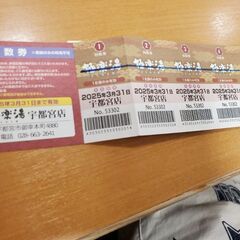 極楽湯宇都宮店　回数券　使用期限3/31まで