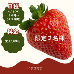 予約困難！２名限定でおわります。特別限定のいちご狩り体験