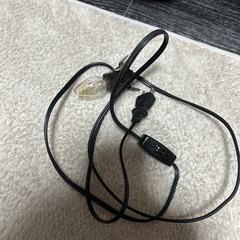 値下げします！フクロウ　置き型ライトの画像