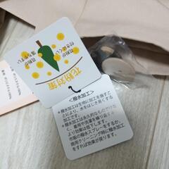 【新品タグ付　花粉防止＆撥水加工】motifsモチーフ　トレンチコート　ベルト付の画像