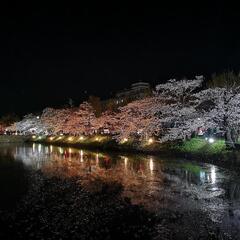 🏯松本城🌃夜桜🌸ライトアップ💡 - 松本市