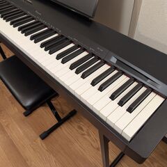 CASIO Privia プリヴィアの画像