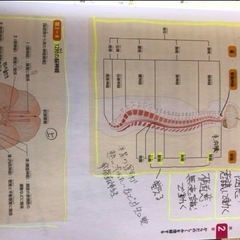 2019年度版介護福祉士養成参考書1~15 2021年度過去問の画像