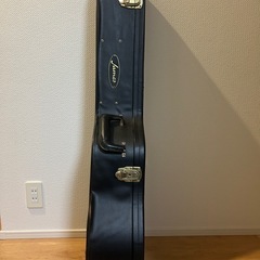 ジェームス　ギター　ハードケースの画像