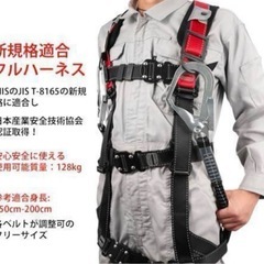 フルハーネス新規格セット ハーネス安全帯 ランヤード付き 2丁掛けの画像