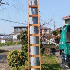 🛠️木製のハシゴ⚒️の画像