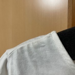 レディース 半袖 夏服 earth music&ecologyの画像