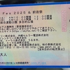 HY skyfes 2025