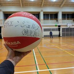 50代60代70代ソフトバレーボール男女