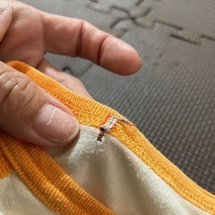 🧡ヒスミニロンT120の画像