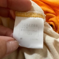 🧡ヒスミニロンT120の画像